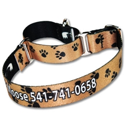 Pet ID Martingale Collar 3/4"